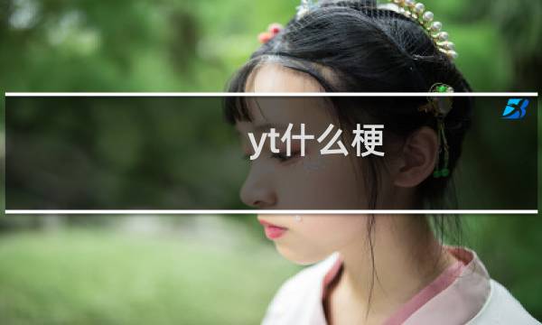 yt什么梗