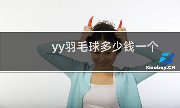 yy羽毛球多少钱一个