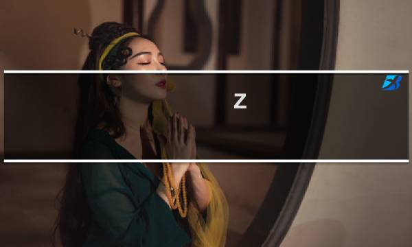 z hunter攻略