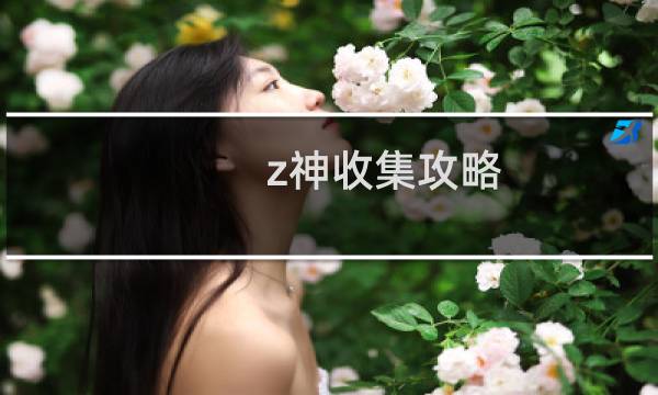 z神收集攻略