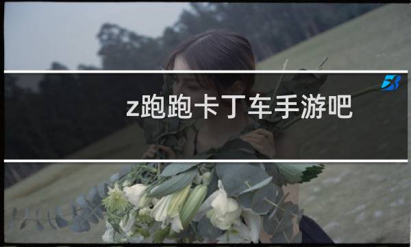 z跑跑卡丁车手游吧
