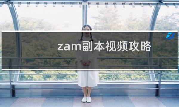 zam副本视频攻略