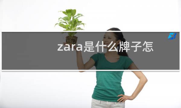 zara是什么牌子怎么读中文（zara是什么牌子）图片