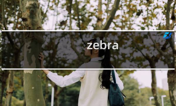 zebra图片