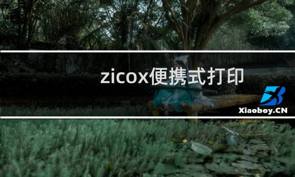 zicox便携式打印机（Zicox品牌的中文名是什么）