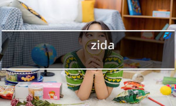 zida.co这个域名访问不了