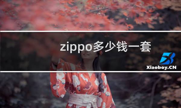zippo多少钱一套
