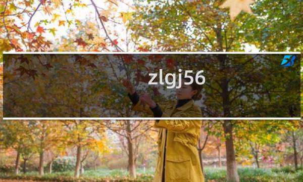zlgj56.com为何访问不了了？备案接入没变过啊，一直用