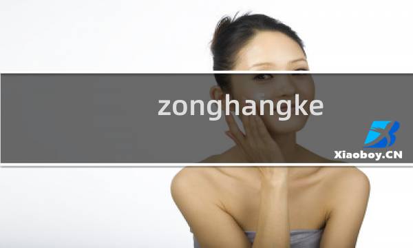 zonghangkeji.com网站访问咨询