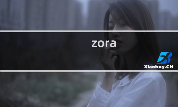 zora 攻略