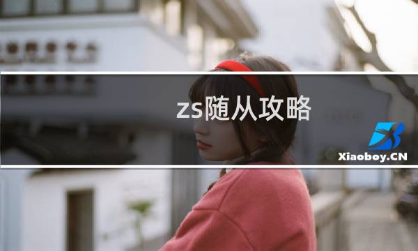 zs随从攻略