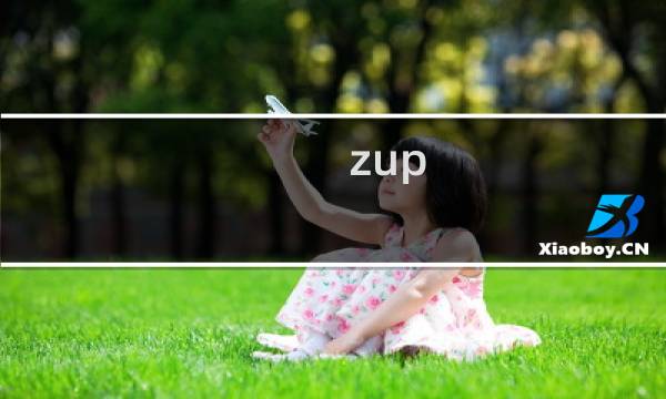 zup  x攻略