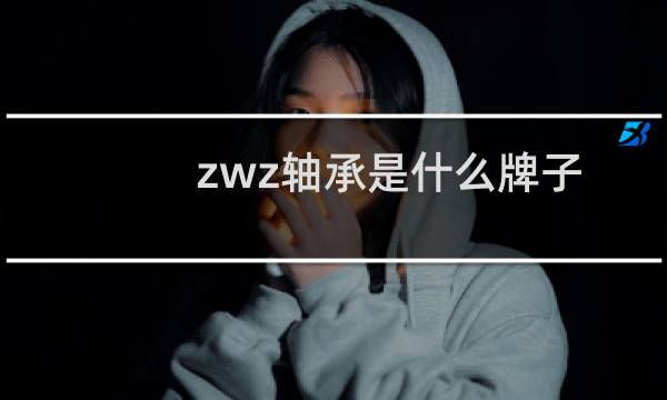zwz轴承是什么牌子