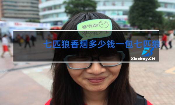七匹狼香烟多少钱一包七匹狼(白)