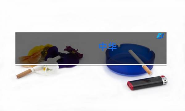 中华(大中华)细香烟价格表