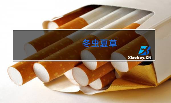 冬虫夏草(双中支)过滤嘴香烟