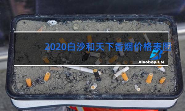 2020白沙和天下香烟价格表图