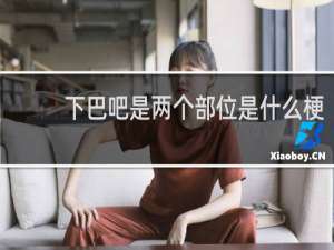 下巴吧是两个部位是什么梗