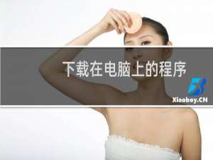 下载在电脑上的程序