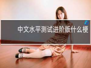 中文水平测试进阶版什么梗