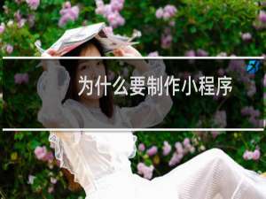 为什么要制作小程序