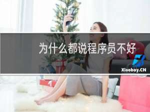 为什么都说程序员不好