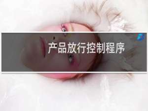 产品放行控制程序