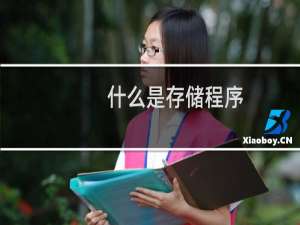 什么是存储程序