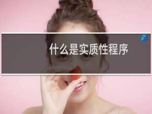 什么是实质性程序
