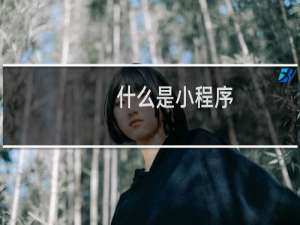 什么是小程序