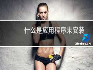 什么是应用程序未安装