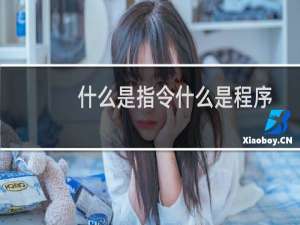 什么是指令什么是程序