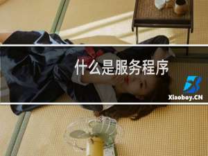 什么是服务程序