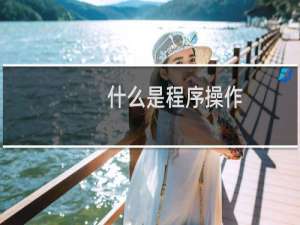 什么是程序操作