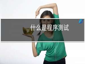 什么是程序测试