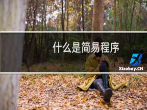什么是简易程序
