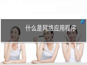 什么是网络应用程序