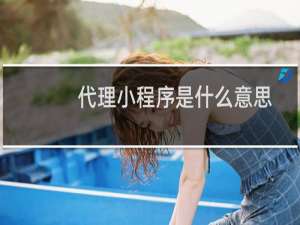 代理小程序是什么意思