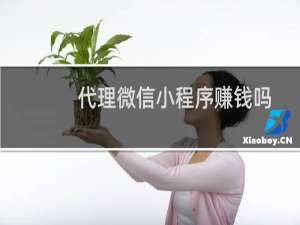 代理微信小程序赚钱吗