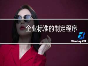 企业标准的制定程序