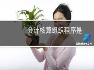 会计核算组织程序是
