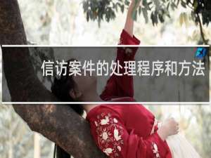信访案件的处理程序和方法