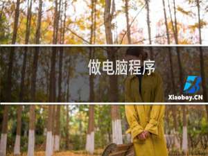 做电脑程序