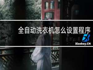 全自动洗衣机怎么设置程序