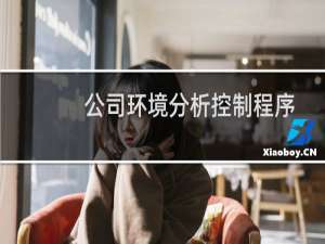 公司环境分析控制程序