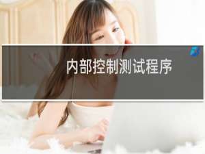 内部控制测试程序