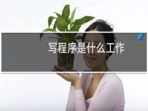 写程序是什么工作