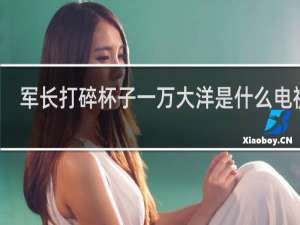 军长打碎杯子一万大洋是什么电视剧