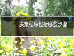 决策程序包括哪些步骤