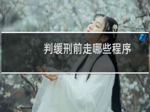 判缓刑前走哪些程序